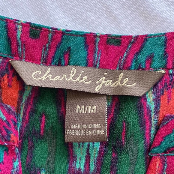 Anthropologie Charlie Jade Colorful Aztec Dress - M - Picture 5 of 8